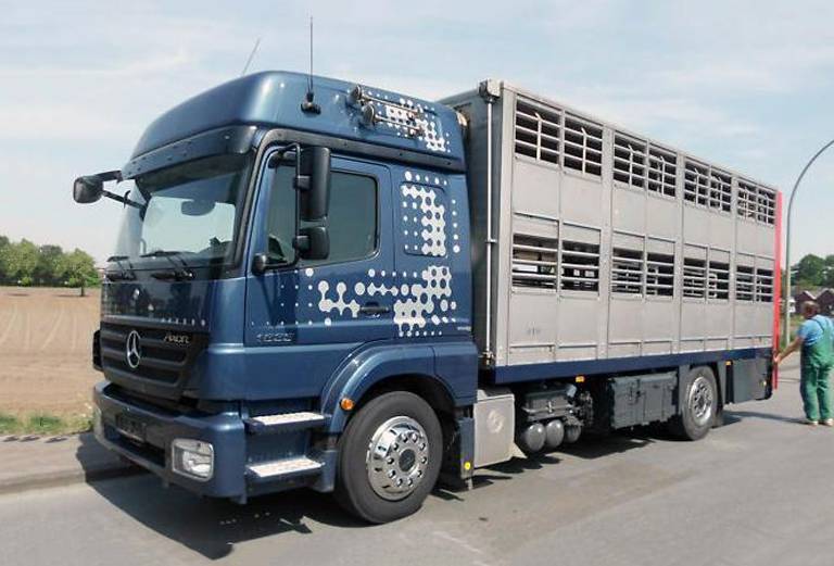 Транспортировать другие животные автотранспортом из Владивостока в Алдан